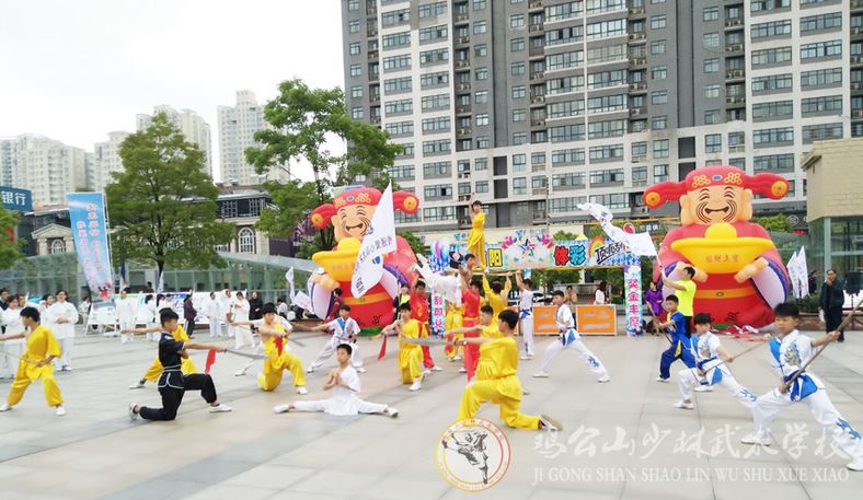 2001—2010年河南省武術發(fā)展規(guī)劃