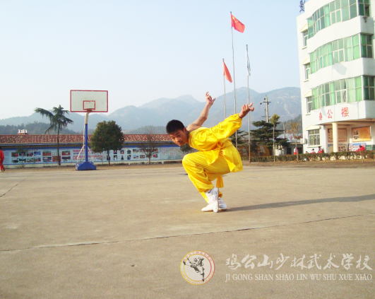 學(xué)習(xí)武術(shù)對(duì)各類人有什么好處 這個(gè)說的很全