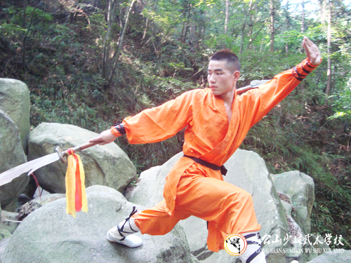武術(shù)動(dòng)作發(fā)力：長勁 短勁 順勁 逆勁 掙勁